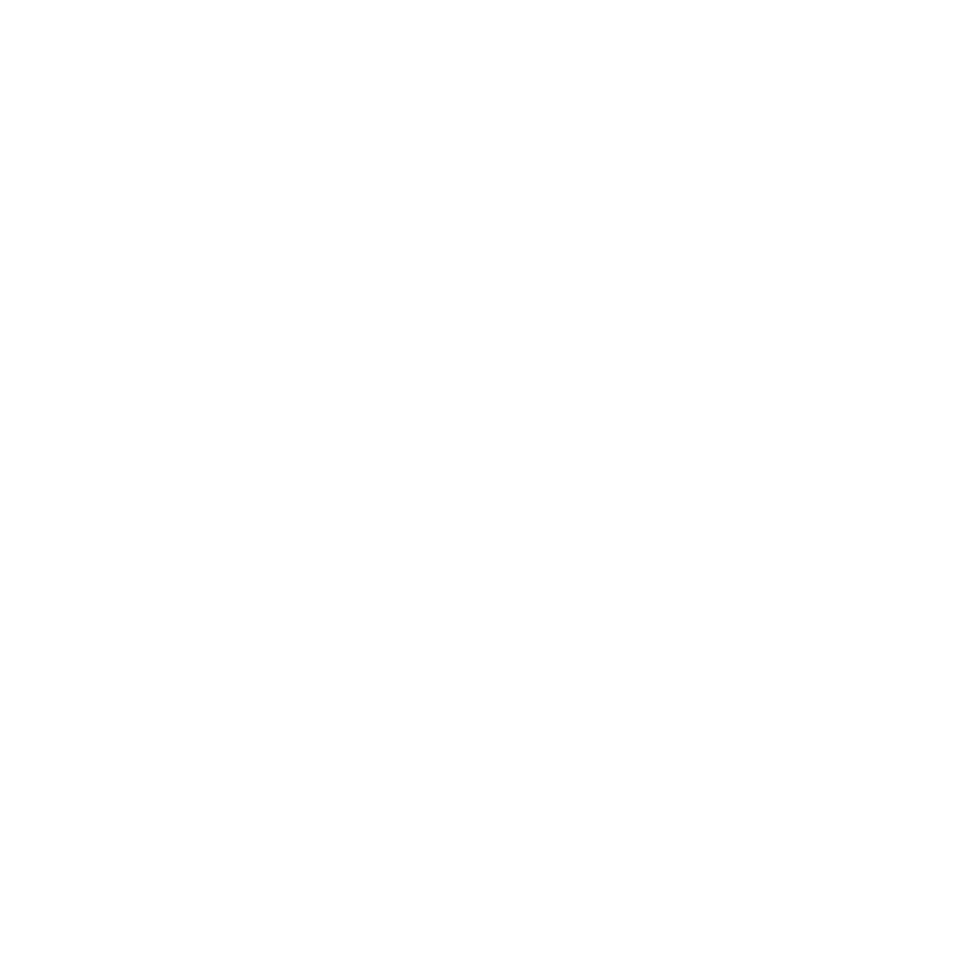 Davi Jost